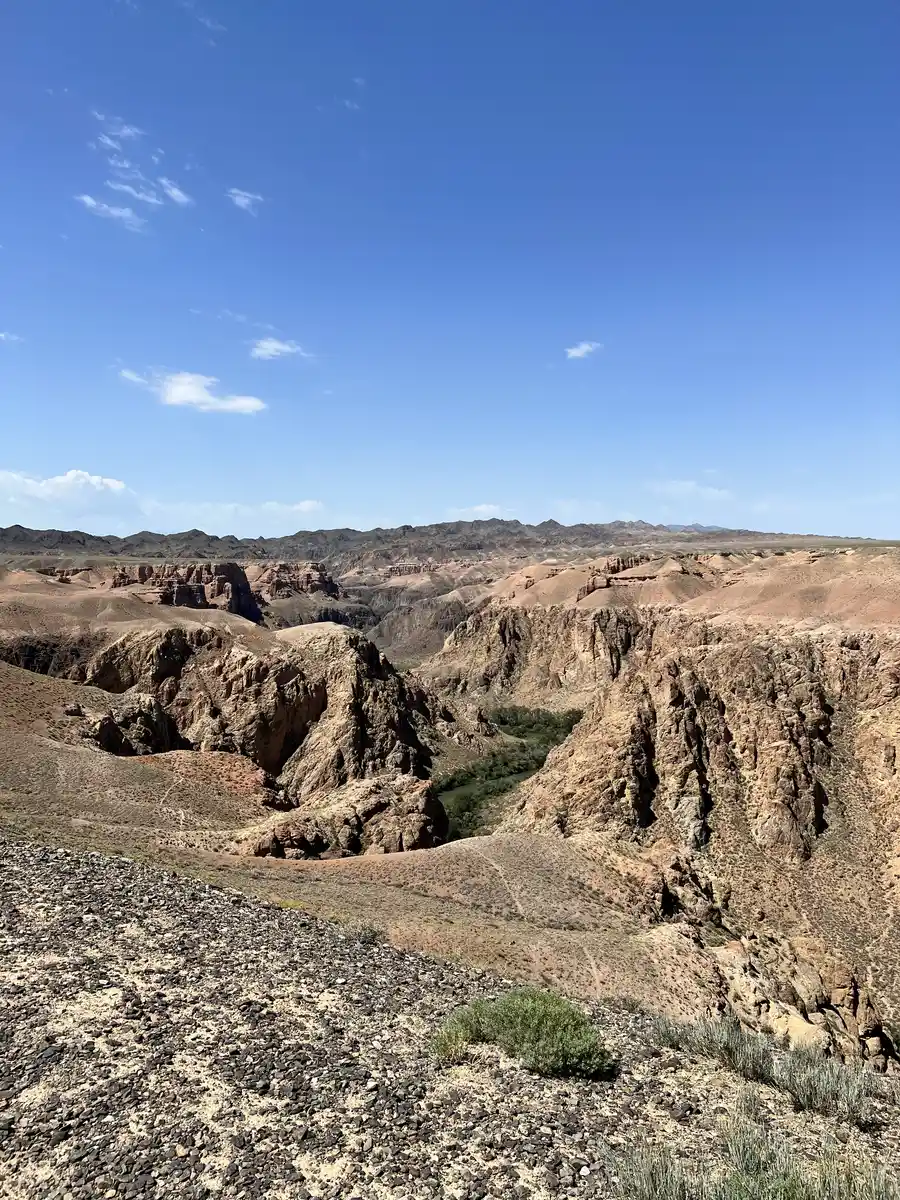 High viewpoint overlooking a rugged canyon branch with a green streak of vegetation at its base